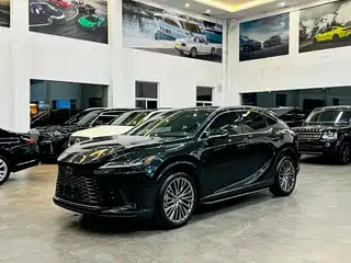 Lexus RX 2025