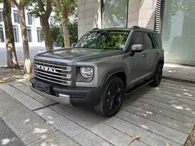 Haval Meng Long NEV 2024