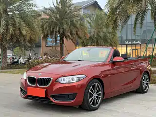 BMW 2 Series (Import) 2017