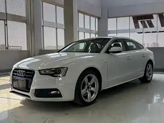 Audi A5 (Import) 2014