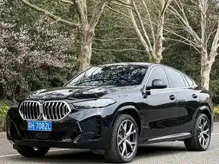 BMW BMW X6 2023