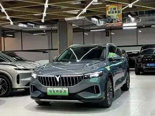 Voyah Auto FREE 2021