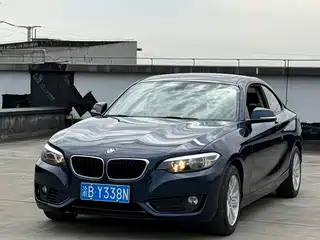 BMW 2 Series (Import) 2015
