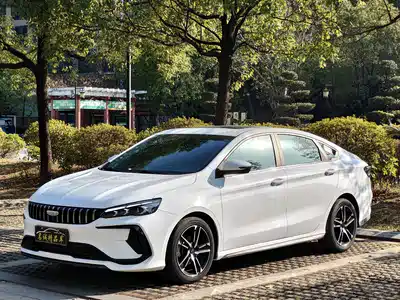 Geely Binrui 2024