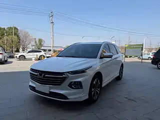 Wuling Motors Wuling Victory 2020