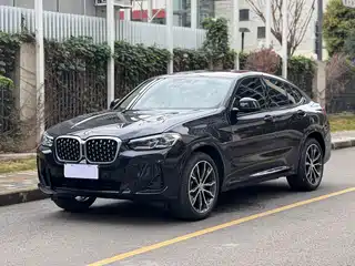 BMW BMW X4 2021