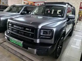 Haval Meng Long NEV 2025