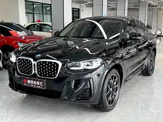 BMW BMW X4 2021