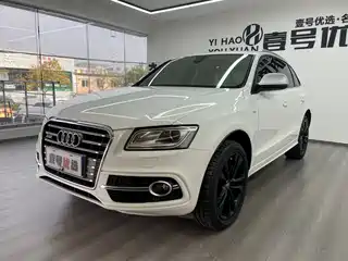 Audi Audi SQ5 2013