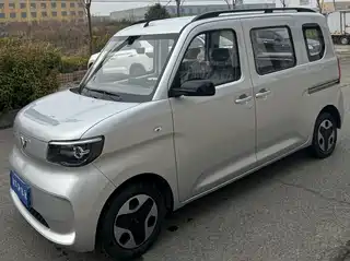 Wuling Motors Zhiguang NEV 2025