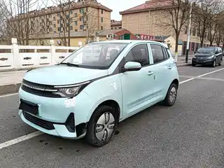 LeiDing Mango 2021