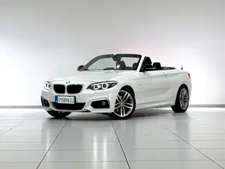 BMW 2 Series (Import) 2017