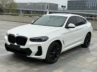 BMW BMW X4 2021
