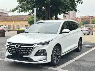 Wuling Motors Wuling Victory 2023