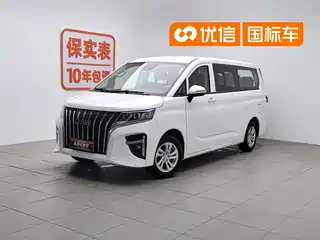 BAW (Beijing Automobile Works) Ruisheng Ace M7 EV 2024