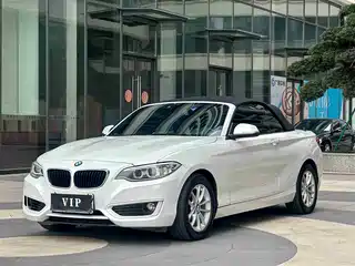 BMW 2 Series (Import) 2015