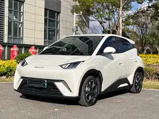BYD Seagull 2025