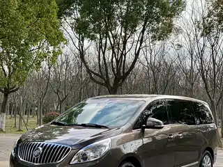Buick GL8 2013