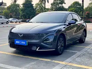 Wuling Motors Xingguang 2024