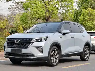 Wuling Motors Wuling Xingchen 2021