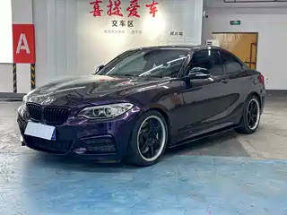 BMW BMW 2 Series (Import) 2014
