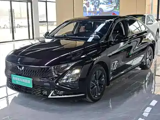 Wuling Motors Xingguang 2024