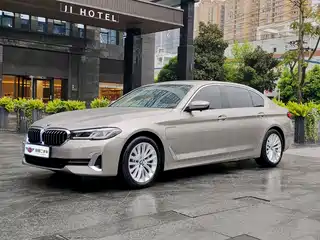 BMW 5 Series New Energy 2020