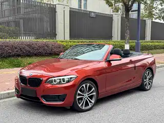BMW 2 Series (Import) 2019
