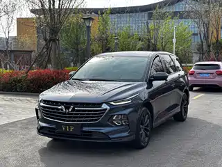Wuling Motors Wuling Victory 2020
