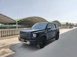 Haval Meng Long NEV 2024