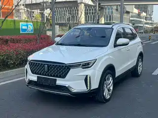 Besturn T33 2020