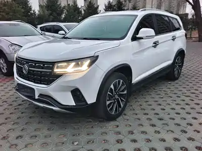 Dongfeng Fengxing T5L 2019