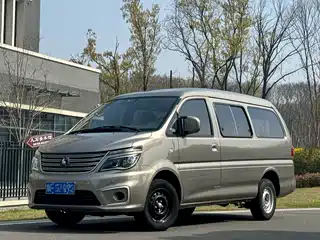 Dongfeng Fengxing Lingzhi 2021