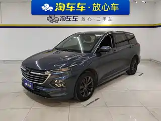 Wuling Motors Wuling Victory 2020