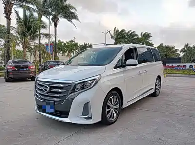 GAC Trumpchi M8 2020