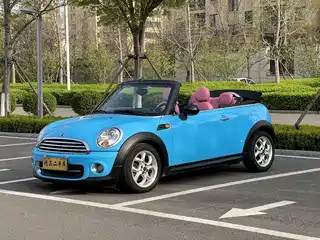 MINI MINI 2012