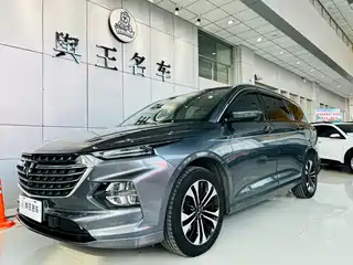 Wuling Motors Wuling Victory 2020