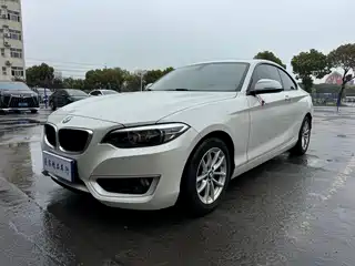 BMW 2 Series (Import) 2015