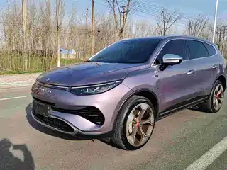 Denza X 2020