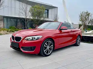 BMW 2 Series (Import) 2017