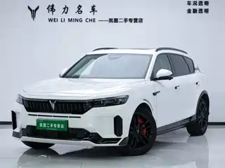 Voyah Auto FREE 2024