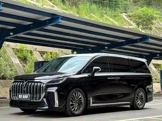 Voyah Auto Dreamer 2022