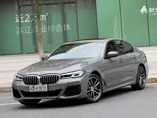 BMW 5 Series (Import) 2021