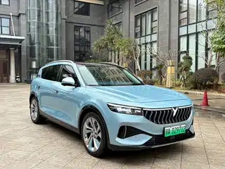 Voyah Auto FREE 2021