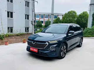 Wuling Motors Wuling Victory 2020