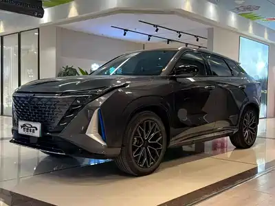 Changan Oshan Z6 EV 2022