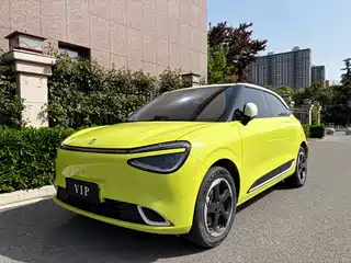Dongfeng Yipai Nano 01 2024
