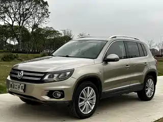 Volkswagen Tiguan 2015