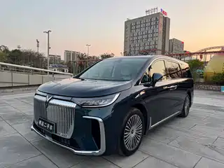 Voyah Auto Dreamer 2024