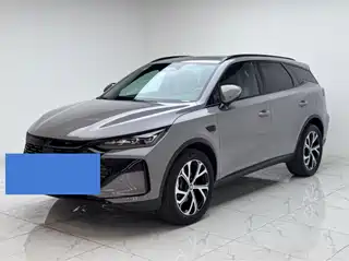 BYD Tang New Energy 2024
